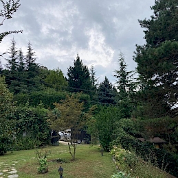 Sapanca Rotary Otistikler Kampı